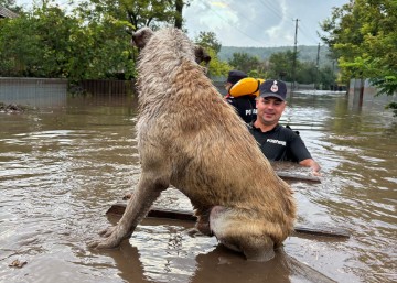 ROMANIA FLOODS