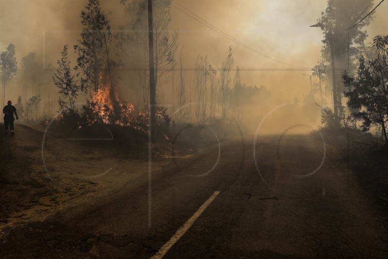 PORTUGAL FOREST FIRE