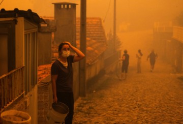 PORTUGAL FOREST FIRE