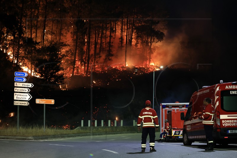 PORTUGAL FOREST FIRE