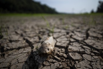 BRAZIL DROUGHT