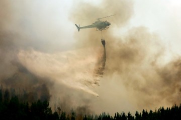 PORTUGAL FOREST FIRE