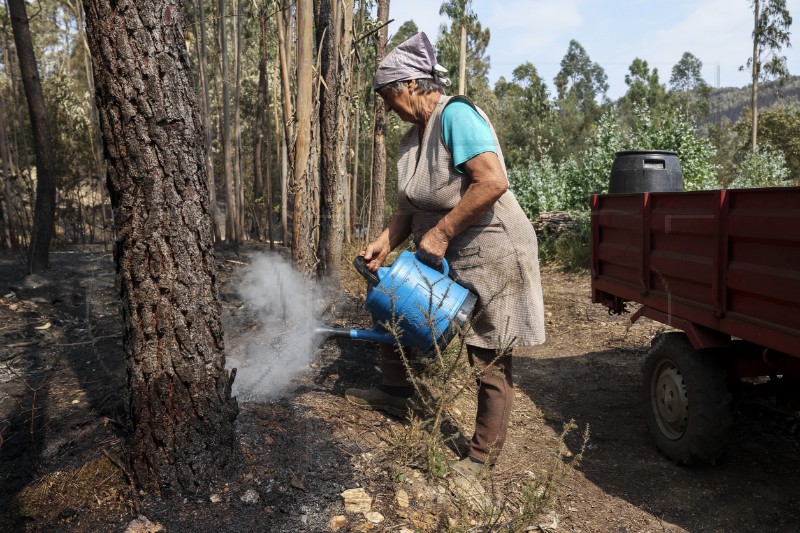 PORTUGAL FOREST FIRE