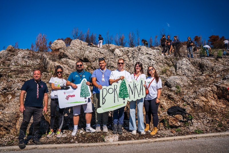 Pošumljavanje požarom opustošene šume u Parku prirode Biokovo