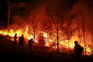 ARGENTINA FIRES