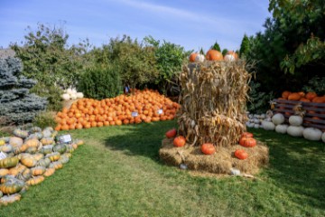 POLAND AGRICULTURE PUMPKINS