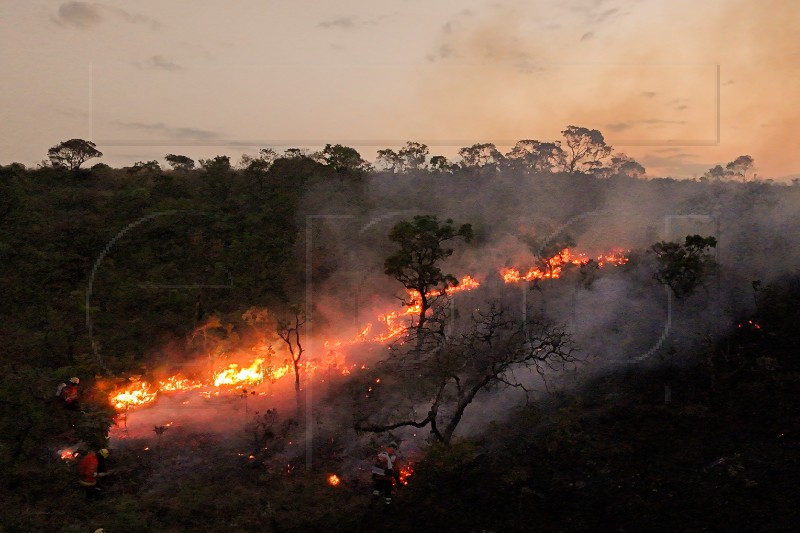 BRAZIL FIRES