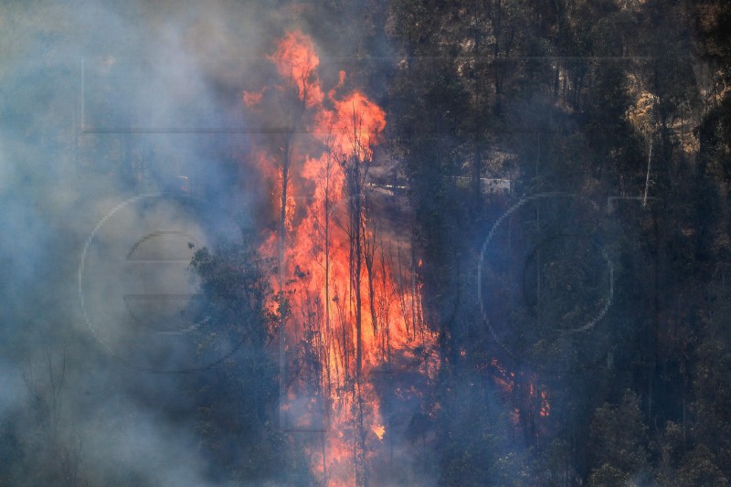 ECUADOR FIRES