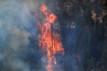 ECUADOR FIRES