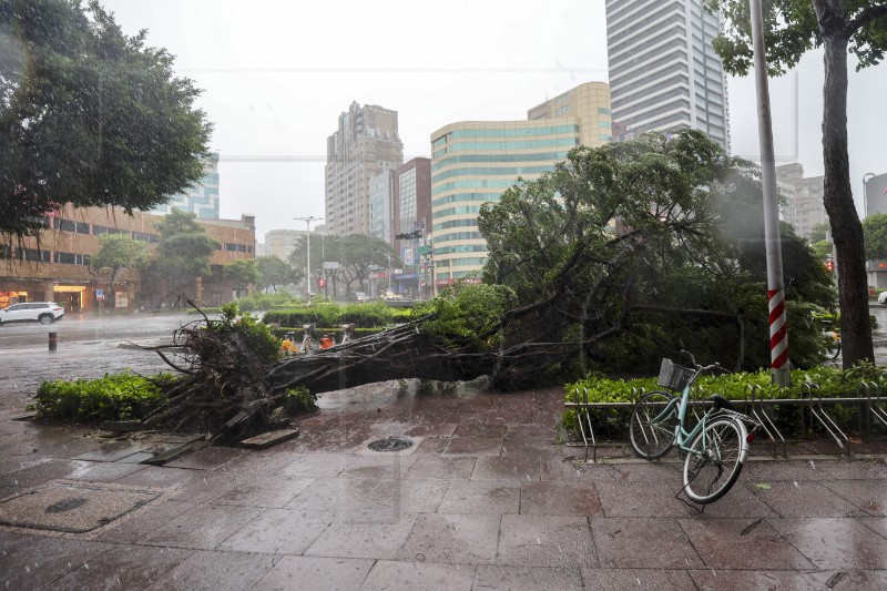 TAIWAN TYPHOON KRATHON