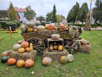 Otvorena 20. Bučijada