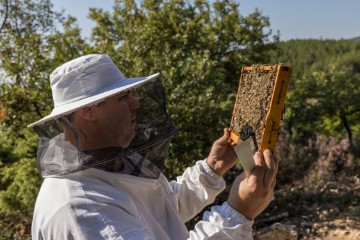 GREECE PHOTO SET APICULTURE