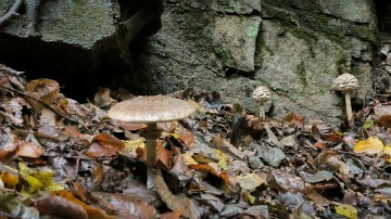 Moslavina - jedinstveno geografsko područje s nizom geoloških lokaliteta