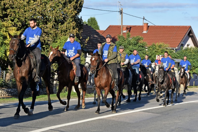 €4.5m allocated annually for rare horse breeds in Croatia