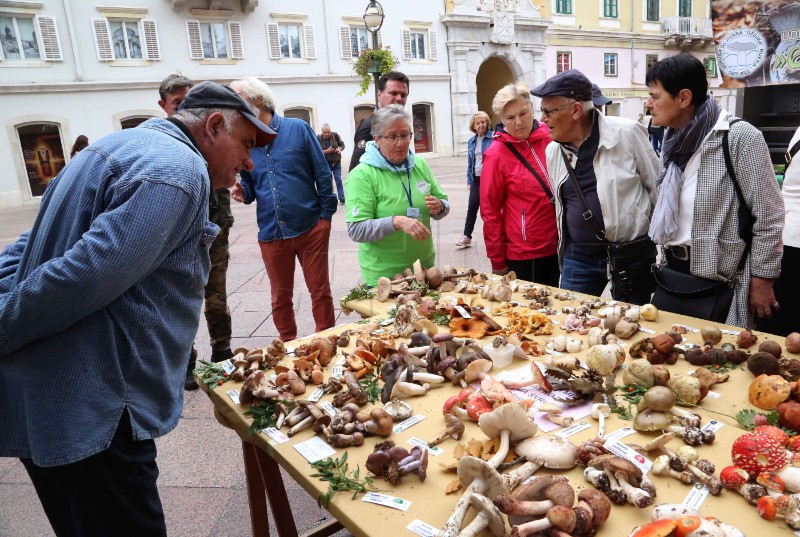 Rijeka: Jesenska izložba gljiva