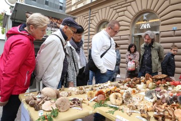 Rijeka: Jesenska izložba gljiva