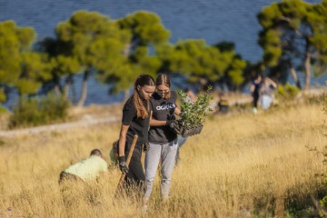 Boranka okupila više od 300 volontera na brdu Jelinjak kraj Šibenika