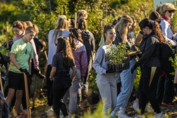 Boranka okupila više od 300 volontera na brdu Jelinjak kraj Šibenika