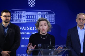 Konferencija za medije Ivane Kekin