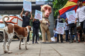 INDIA PETA PROTEST