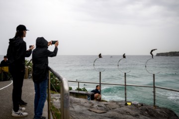 AUSTRALIA SCULPTURE BY THE SEA MEDIA LAUNCH