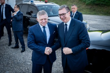 SLOVAKIA HUNGARY SERBIA DIPLOMACY