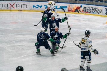 KHL Sisak: Alpska hokejaška liga (AHL) 2024./ 2025.