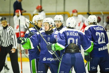 KHL Sisak: Alpska hokejaška liga (AHL) 2024./ 2025.