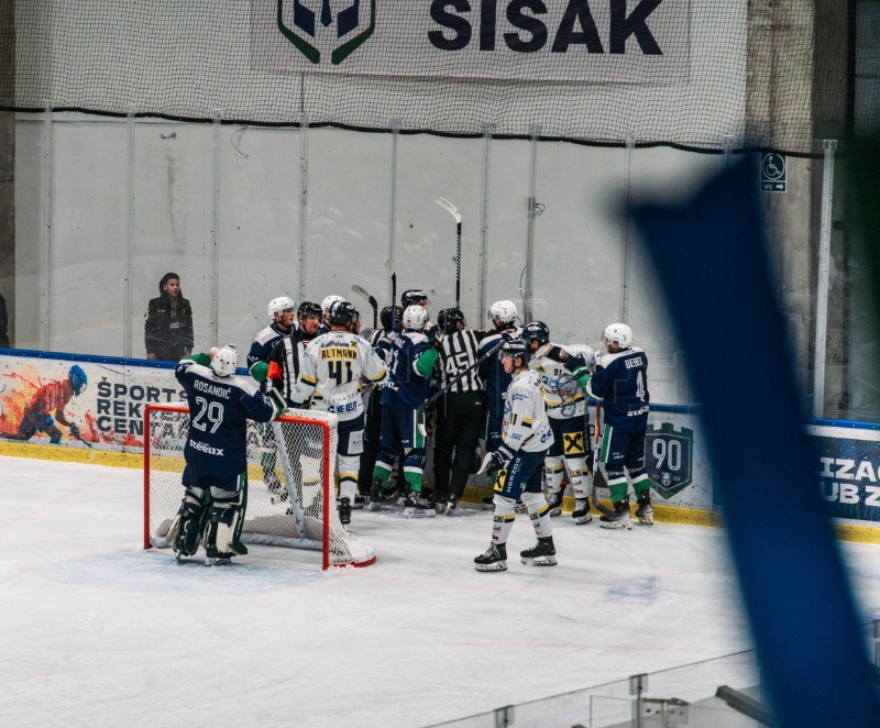 KHL Sisak: Alpska hokejaška liga (AHL) 2024./ 2025.