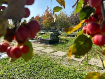 Sve veći broj građana u Spomengaju traži ispraćaj kućnog ljubimca