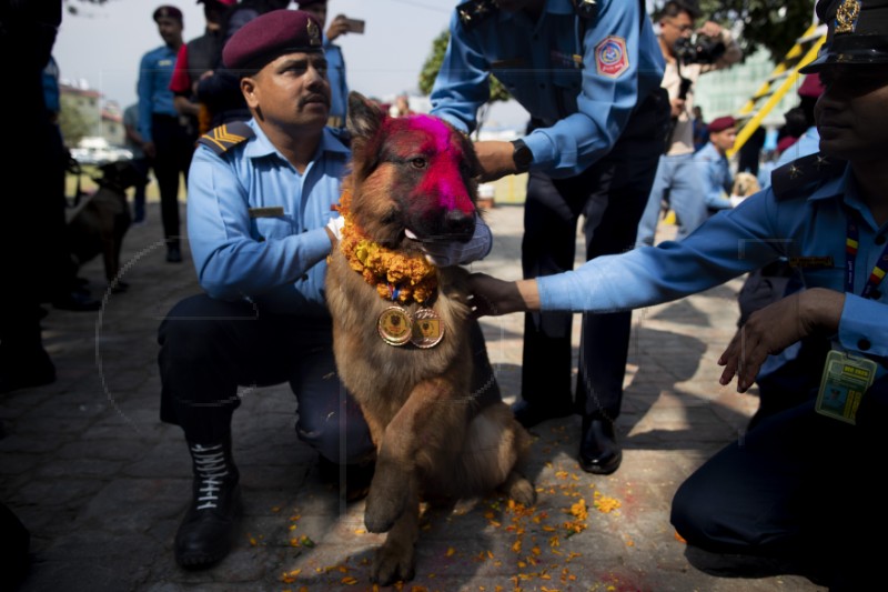 NEPAL TRADITIONS DOG WORSHIP DAY