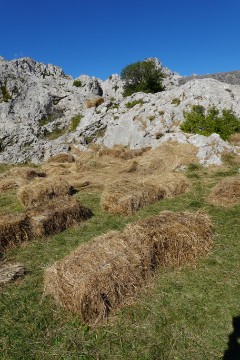 Velebit: Kulisa za koncerte i relije ili oaza mira i tišine?