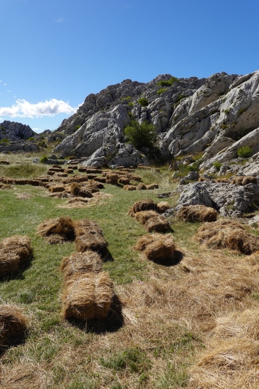 Velebit: Kulisa za koncerte i relije ili oaza mira i tišine?