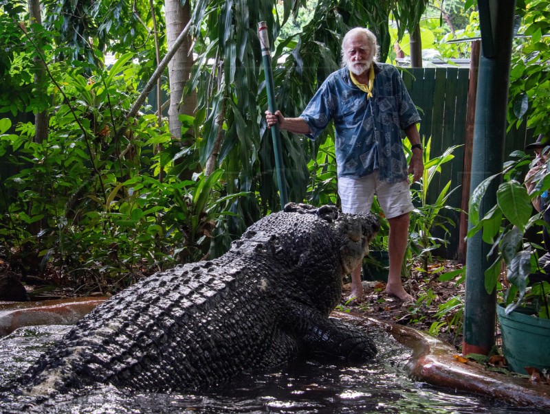 (FILE) AUSTRALIA ANIMALS CROCODILE CASSIUS DEATH