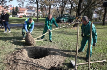 Tomašević obilježio početak sezone sadnje 8000 stabala