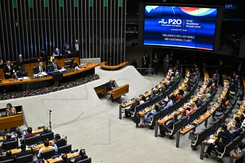 BRAZIL G20 PARLIAMENTS