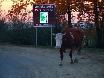 Predstavljen zaštitni znak i slogan proizvoda i usluga iz Lonjskog polja