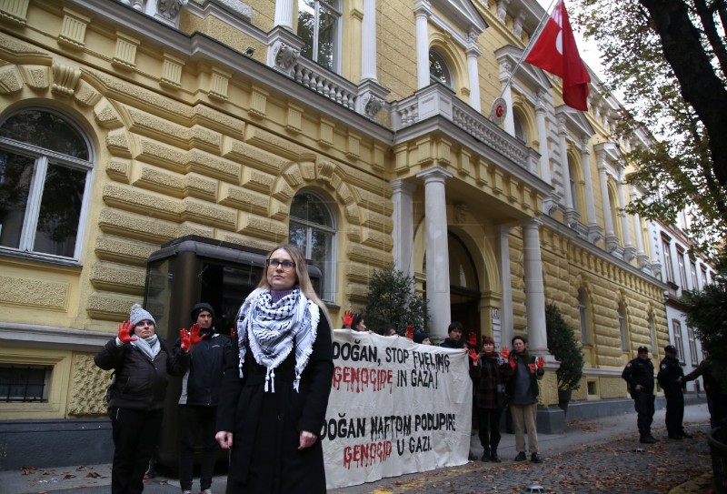 Zelena akcija održala je prosvjed ispred zgrade Veleposlanstva Republike Turske