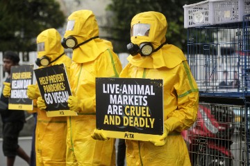 INDONESIA ANIMAL MARKET PROTEST