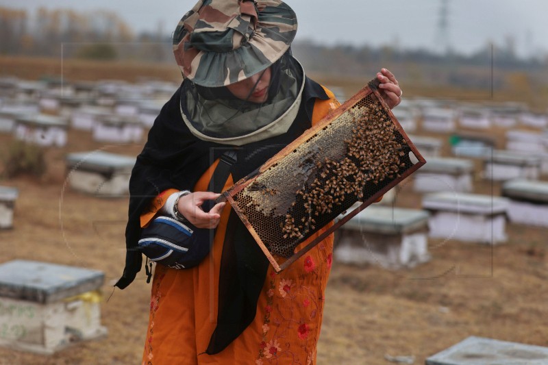 epaselect INDIA KASHMIR AGRICULTURE BEEKEEPING