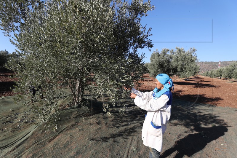 TUNISIA AGRICULTURE