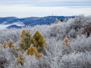 HUNGARY WEATHER