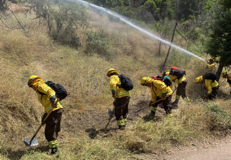 CHILE FIRES