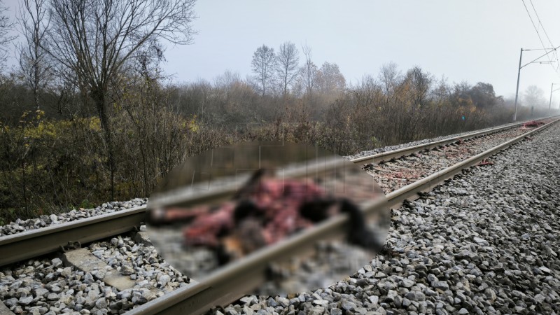 Željeznički promet kod Siska u prekidu nakon što je vlak naletio na konje