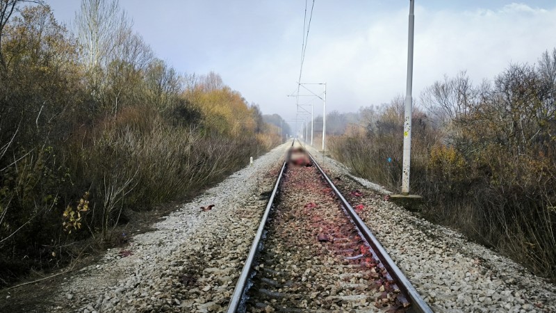 Željeznički promet kod Siska u prekidu nakon što je vlak naletio na konje