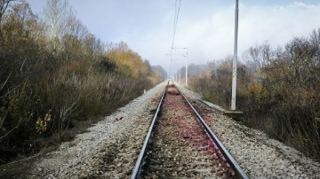 Željeznički promet kod Siska u prekidu nakon što je vlak naletio na konje