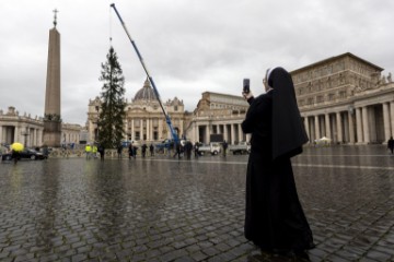 VATICAN CHRISTMAS TREE