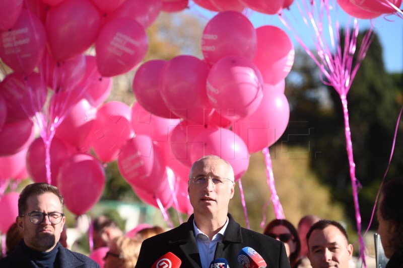 Konferencija za novinare Ivice Puljka