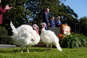 USA THANKSGIVING TURKEY PARDON