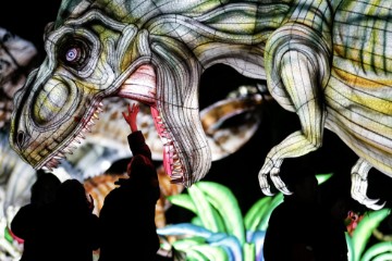 FRANCE LANTERN FESTIVAL